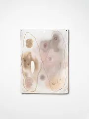 2026 Sera Waters The Brink sent gatherings Photograph Grant Hancock