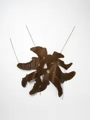 2026 Sera Waters Stash and Haul Underground legtwork (many) Photograph Grant Hancock