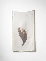 2026 Sera Waters Tied In Photograph Grant Hancock