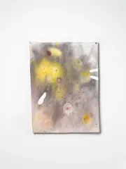 2026 Sera Waters The Brink light from over here Photograph Grant Hancock