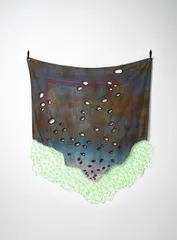 2026 Sera Waters Night Flight & Retrieval Photograph Grant Hancock