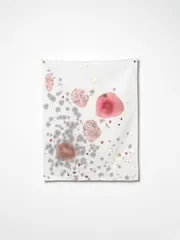 2026 Sera Waters The Brink substances of sustenance Photograph Grant Hancock