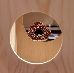 Archaeological digs #2