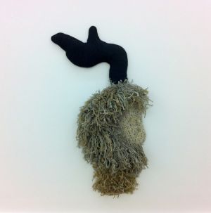 Bearded Trigger Finger (Xanthorrhoea quadrangulata)