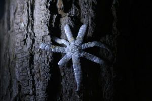 Ominous Glint: Look Out!