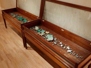 Signs of life (Universe in Green)